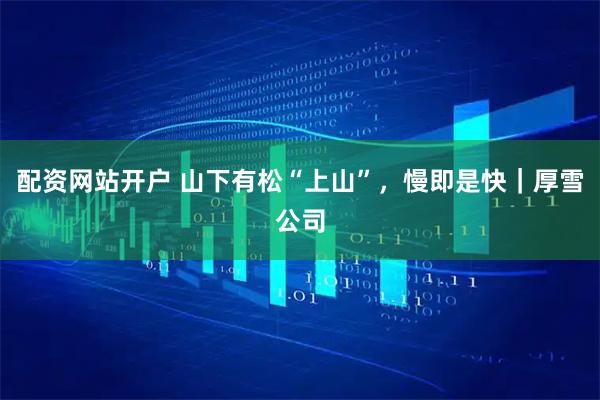 配资网站开户 山下有松“上山”，慢即是快｜厚雪公司